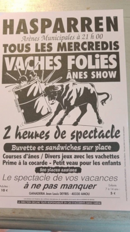 Courses de vache
