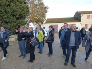 Camargue novembre 2018 13