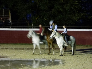 Camargue novembre 2018 67