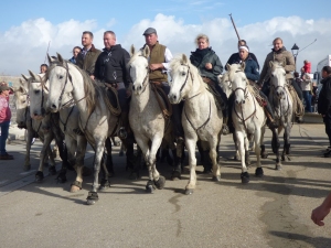 Camargue novembre 2018 84