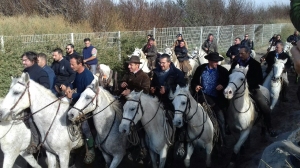 Camargue novembre 2018 86
