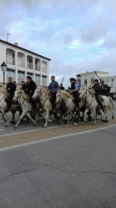 Camargue novembre 2018 87