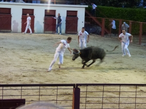 Fêtes de la Peña 2023 5