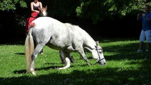Fêtes Peña juin 2019 12