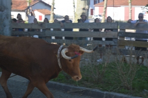 Fêtes Peña juin 2019 26