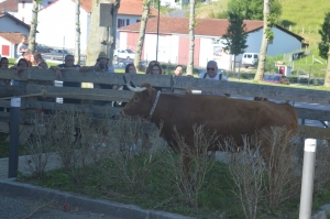 Fêtes Peña juin 2019 27