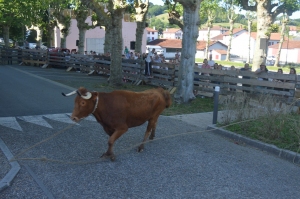 Fêtes Peña juin 2019 29