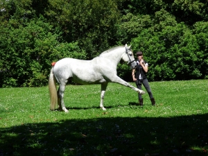 Fêtes Peña juin 2019 13