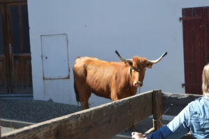 Fêtes Peña juin 2019 23
