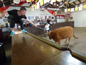 Fêtes Peña juin 2019 16