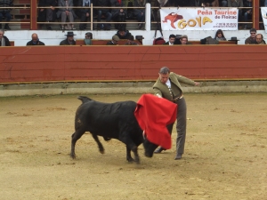 Rion des Landes 2015 8
