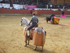 Rion des Landes 2015 5