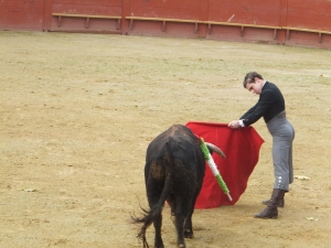 Rion des Landes 2015 9
