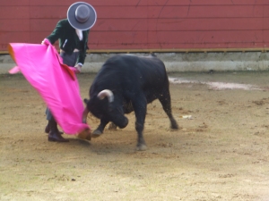 Rion des Landes 2015 1