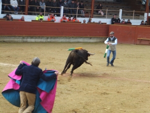 Rion des Landes 2015 6