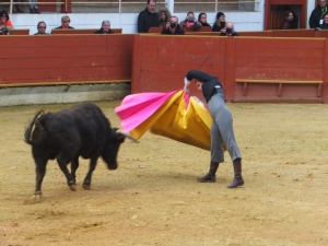 Rion des Landes 2015 2