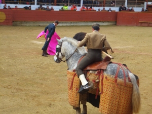 Rion des Landes 2015 3