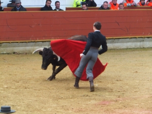 Rion des Landes 2015 10