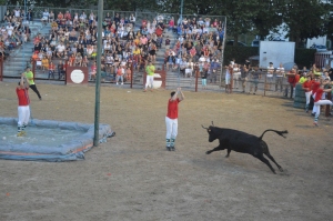 Vaches Folies juillet 2019 11