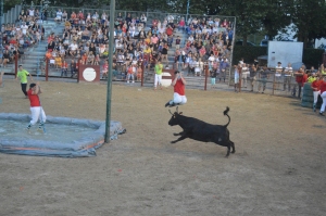 Vaches Folies juillet 2019 12