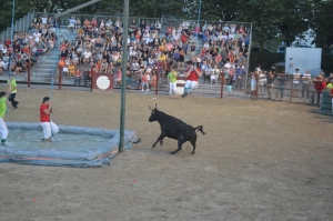 Vaches Folies juillet 2019 13