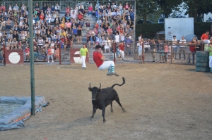 Vaches Folies juillet 2019 18