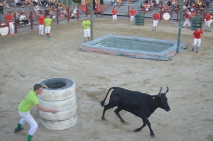 Vaches Folies juillet 2019 5