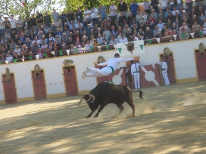 Visite Deyris mai 2019 38