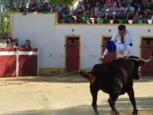 Visite Deyris mai 2019 37