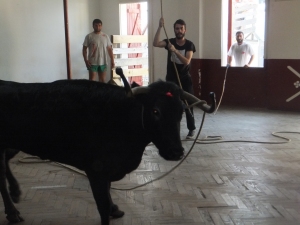 Salbatore 2016 1