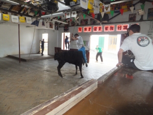 Salbatore 2016 2