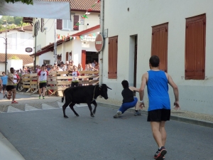 Salbatore 2017 1