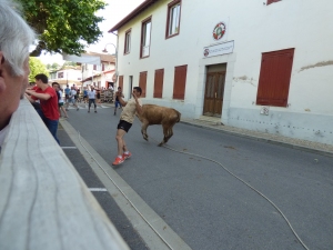 Salbatore 2017 2